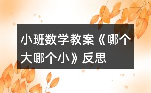 小班數(shù)學(xué)教案《哪個(gè)大、哪個(gè)小》反思
