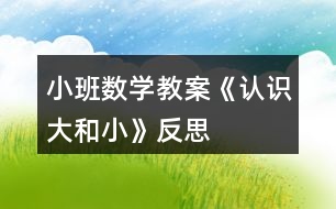 小班數(shù)學(xué)教案《認(rèn)識大和小》反思
