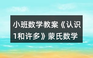 小班數(shù)學(xué)教案《認(rèn)識(shí)1和許多》蒙氏數(shù)學(xué)