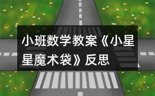 小班數(shù)學教案《小星星魔術(shù)袋》反思
