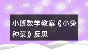 小班數(shù)學教案《小兔種菜》反思