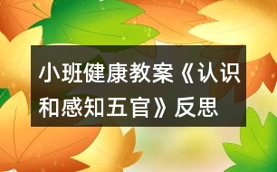 小班健康教案《認(rèn)識和感知五官》反思