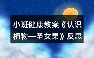 小班健康教案《認識植物―圣女果》反思