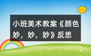 小班美術(shù)教案《顏色妙，妙，妙》反思