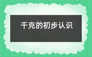 千克的初步認(rèn)識
