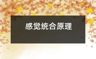 感覺(jué)統(tǒng)合原理