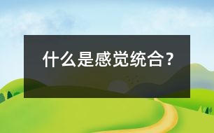 什么是感覺(jué)統(tǒng)合？