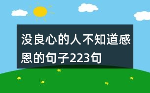 沒良心的人不知道感恩的句子223句