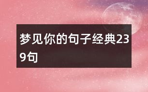 夢見你的句子經(jīng)典239句