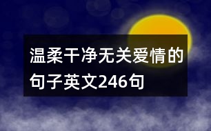 溫柔干凈無關愛情的句子英文246句