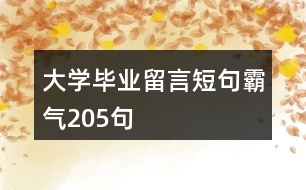大學畢業(yè)留言短句霸氣205句