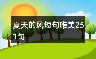 夏天的風短句唯美251句