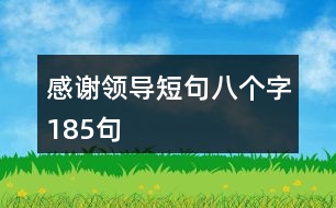 感謝領(lǐng)導(dǎo)短句八個字185句