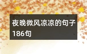 夜晚微風涼涼的句子186句