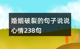 婚姻破裂的句子說(shuō)說(shuō)心情238句