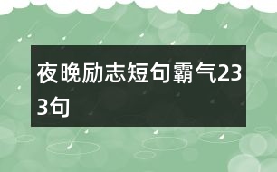 夜晚勵志短句霸氣233句