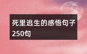 死里逃生的感悟句子250句