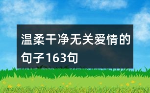 溫柔干凈無關愛情的句子163句