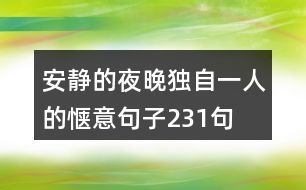 安靜的夜晚獨自一人的愜意句子231句