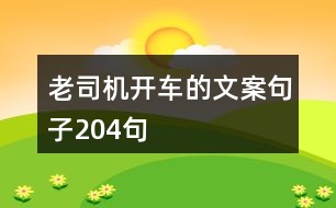 老司機(jī)開(kāi)車(chē)的文案句子204句