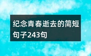 紀(jì)念青春逝去的簡短句子243句