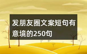 發(fā)朋友圈文案短句有意境的250句