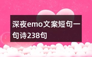深夜emo文案短句一句詩(shī)238句