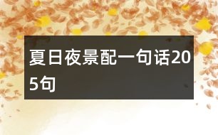 夏日夜景配一句話(huà)205句