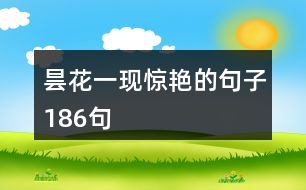 曇花一現驚艷的句子186句