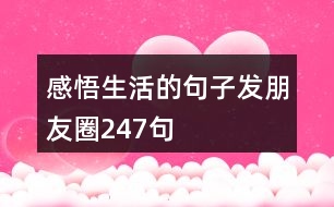 感悟生活的句子發(fā)朋友圈247句