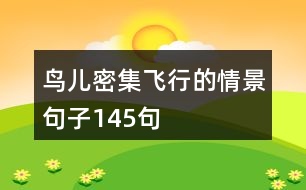 鳥(niǎo)兒密集飛行的情景句子145句