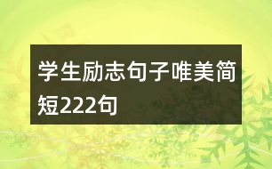 學(xué)生勵(lì)志句子唯美簡(jiǎn)短222句