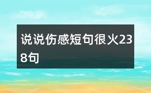 說(shuō)說(shuō)傷感短句很火238句