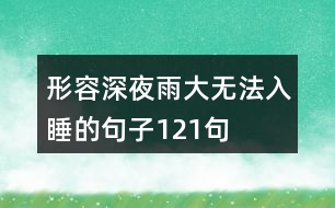 形容深夜雨大無(wú)法入睡的句子121句