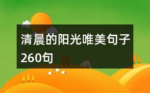 清晨的陽(yáng)光唯美句子260句
