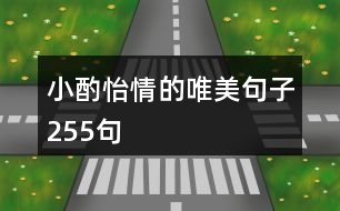 小酌怡情的唯美句子255句