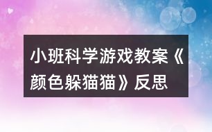 小班科學游戲教案《顏色躲貓貓》反思