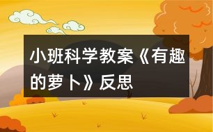 小班科學教案《有趣的蘿卜》反思