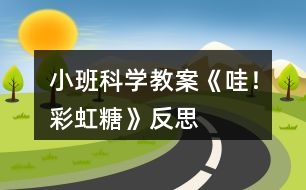 小班科學教案《哇！彩虹糖》反思