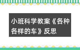 小班科學教案《各種各樣的車》反思