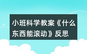 小班科學教案《什么東西能滾動》反思