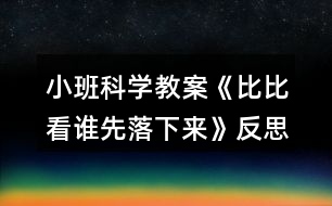 小班科學教案《比比看誰先落下來》反思