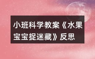 小班科學教案《水果寶寶捉迷藏》反思