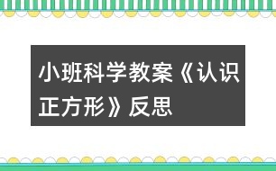 小班科學(xué)教案《認識正方形》反思