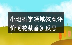 小班科學領域教案評價《花茶香》反思