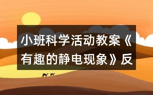 小班科學活動教案《有趣的靜電現(xiàn)象》反思