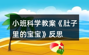 小班科學(xué)教案《肚子里的寶寶》反思