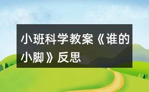 小班科學教案《誰的小腳》反思