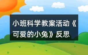小班科學教案活動《可愛的小兔》反思
