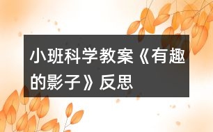 小班科學教案《有趣的影子》反思